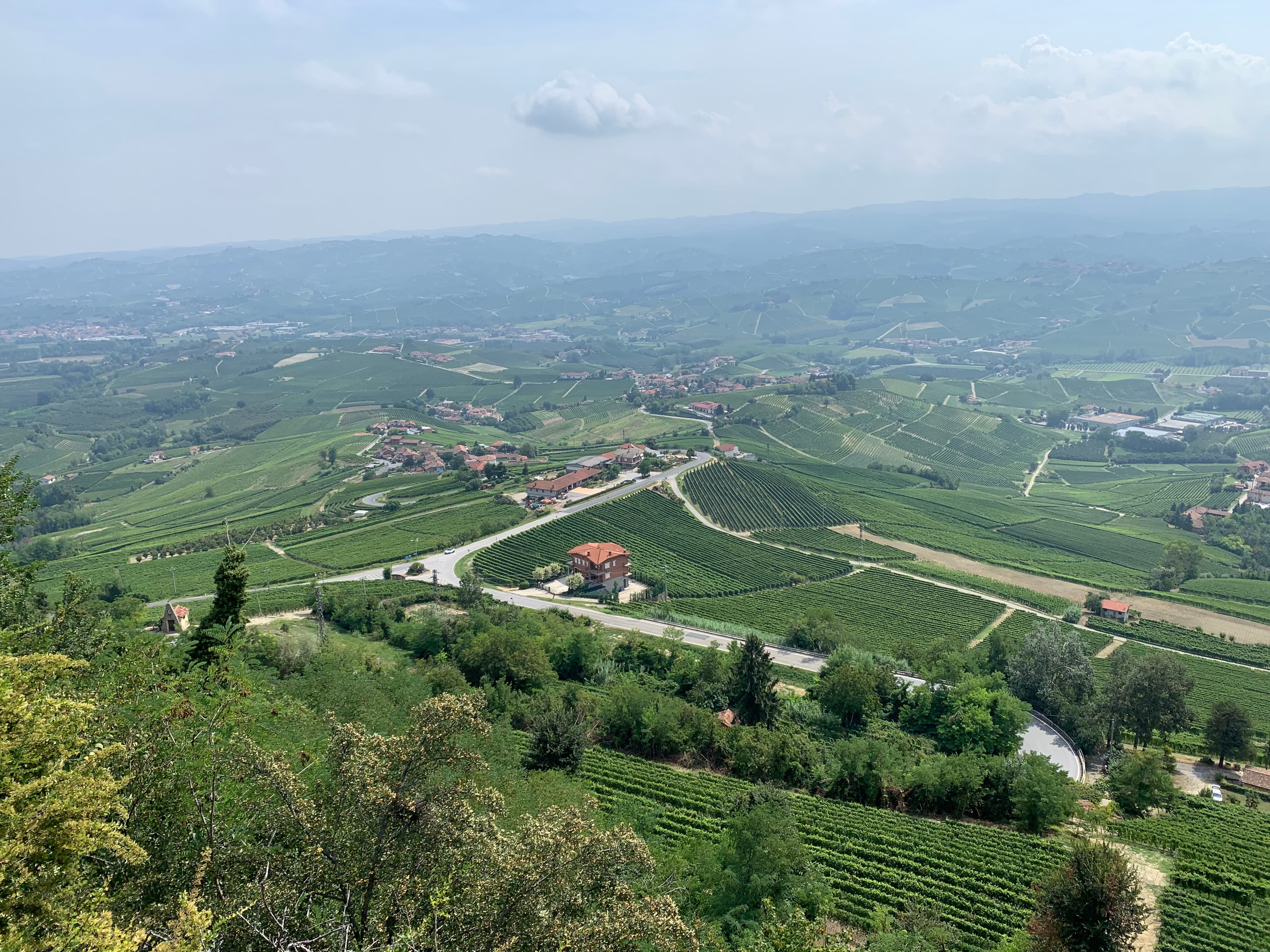 Le Piémont, paradis des épicuriens et des amateurs de bons vins