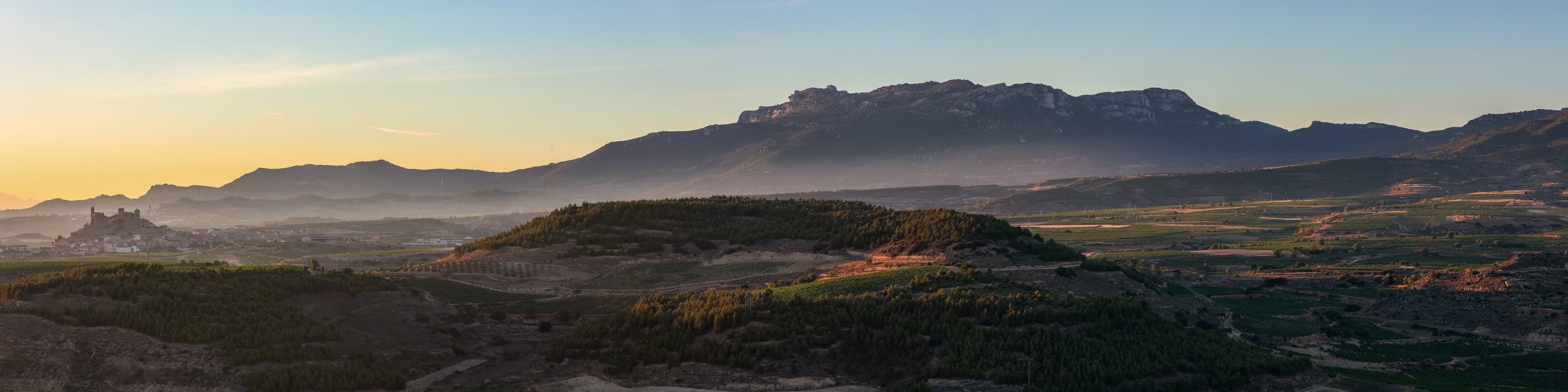 La Rioja, des vins entre tradition et modernité