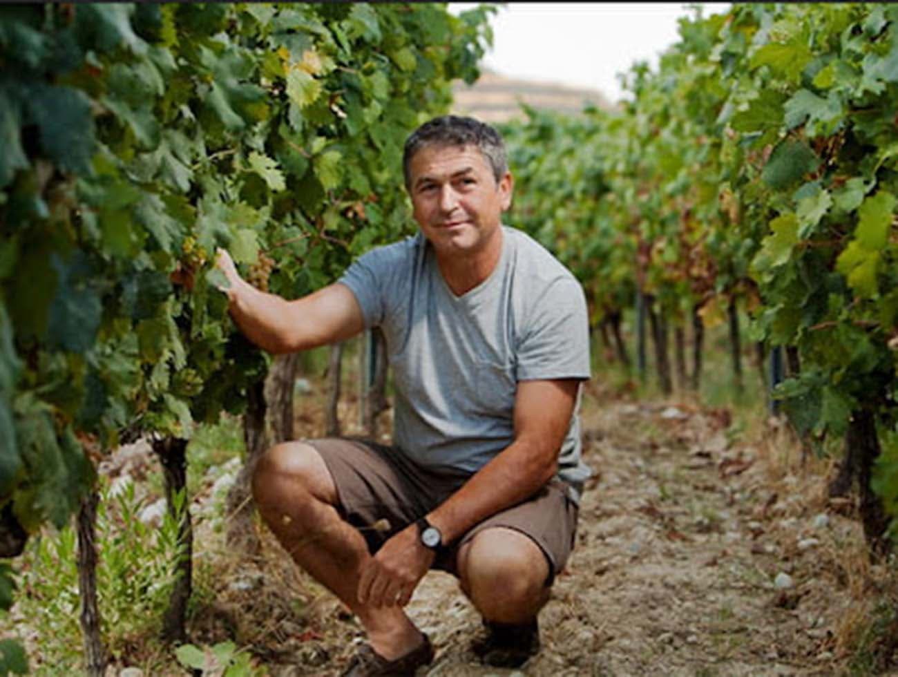 Le Petit Saint Vincent