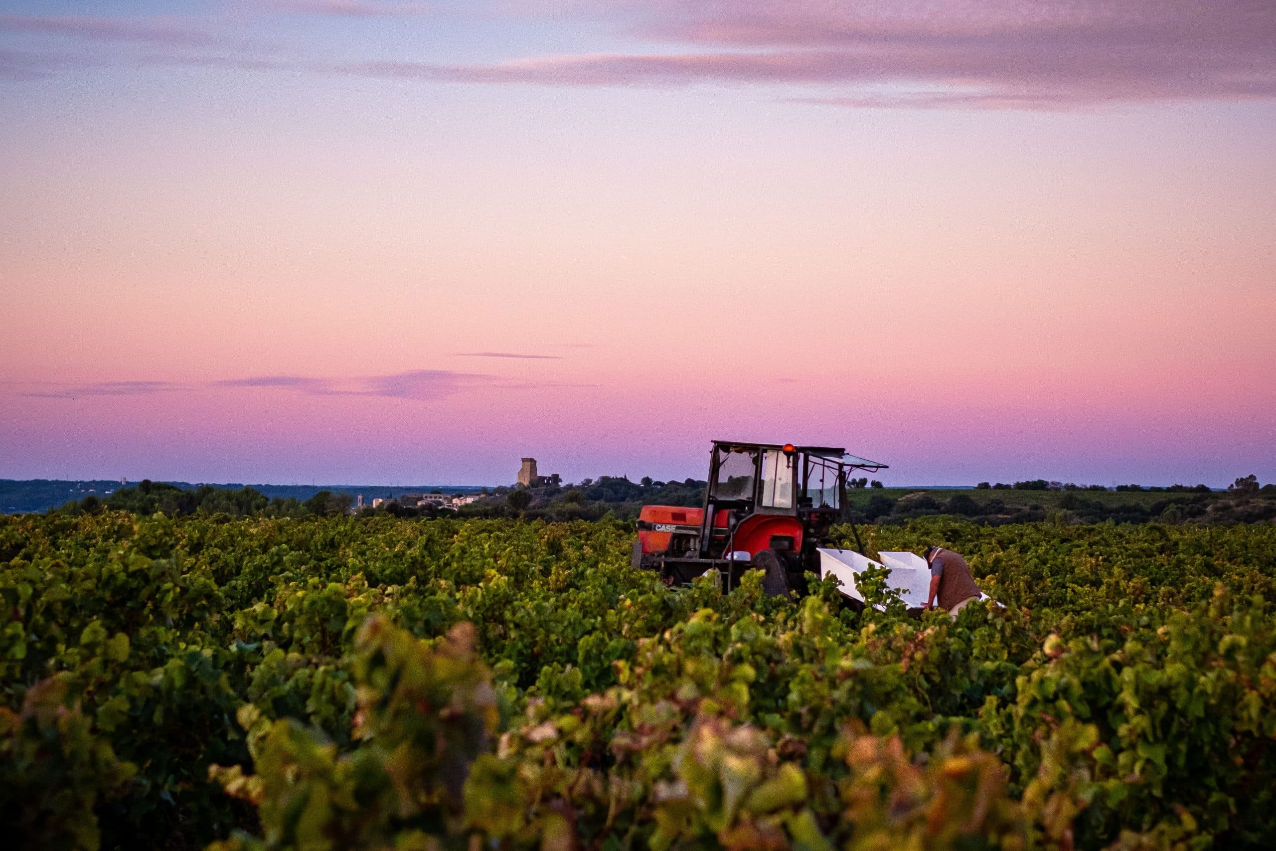 Domaine Féraud & Fils