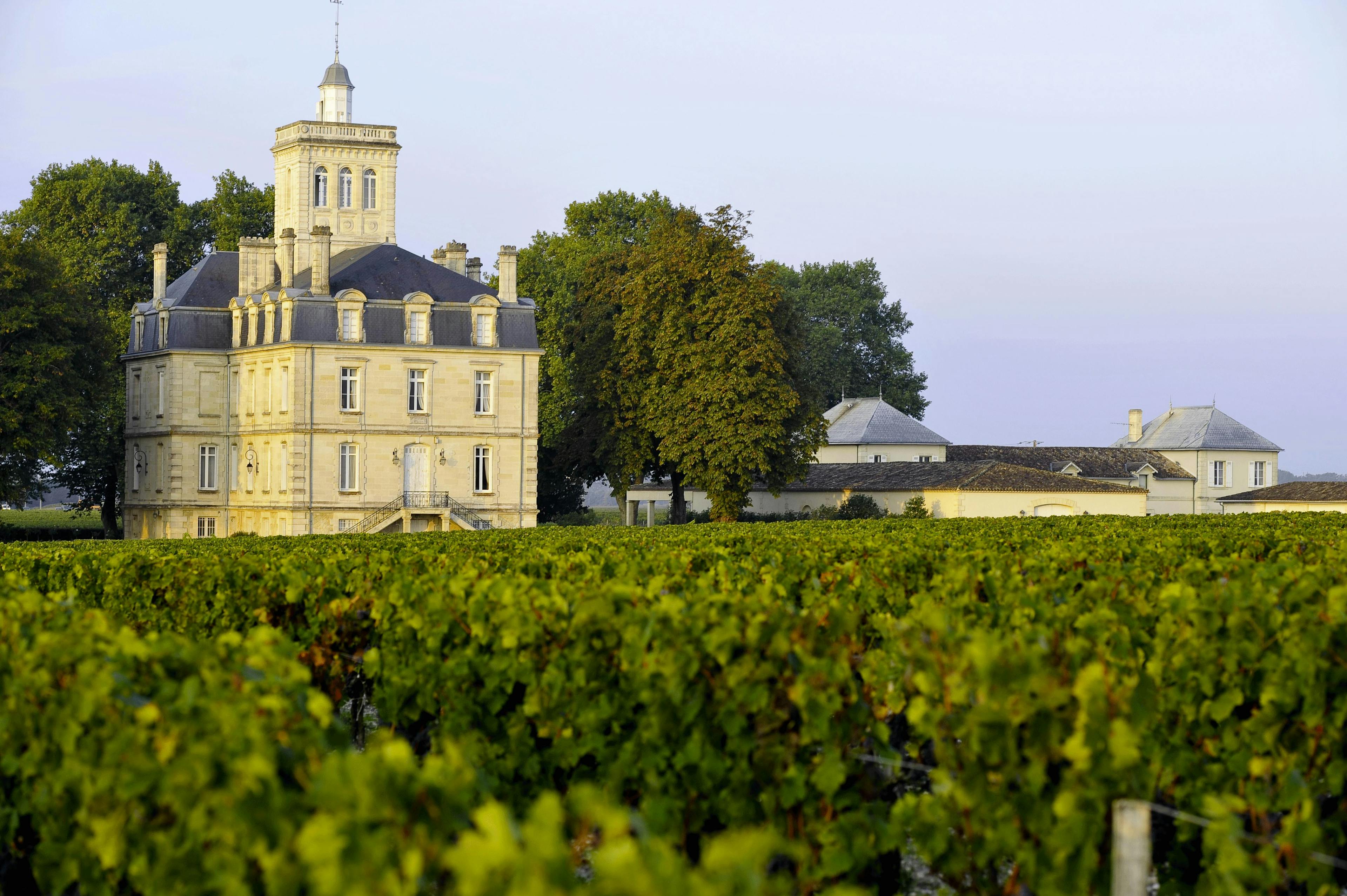 Bordeaux: initiation aux plus grands vins du monde