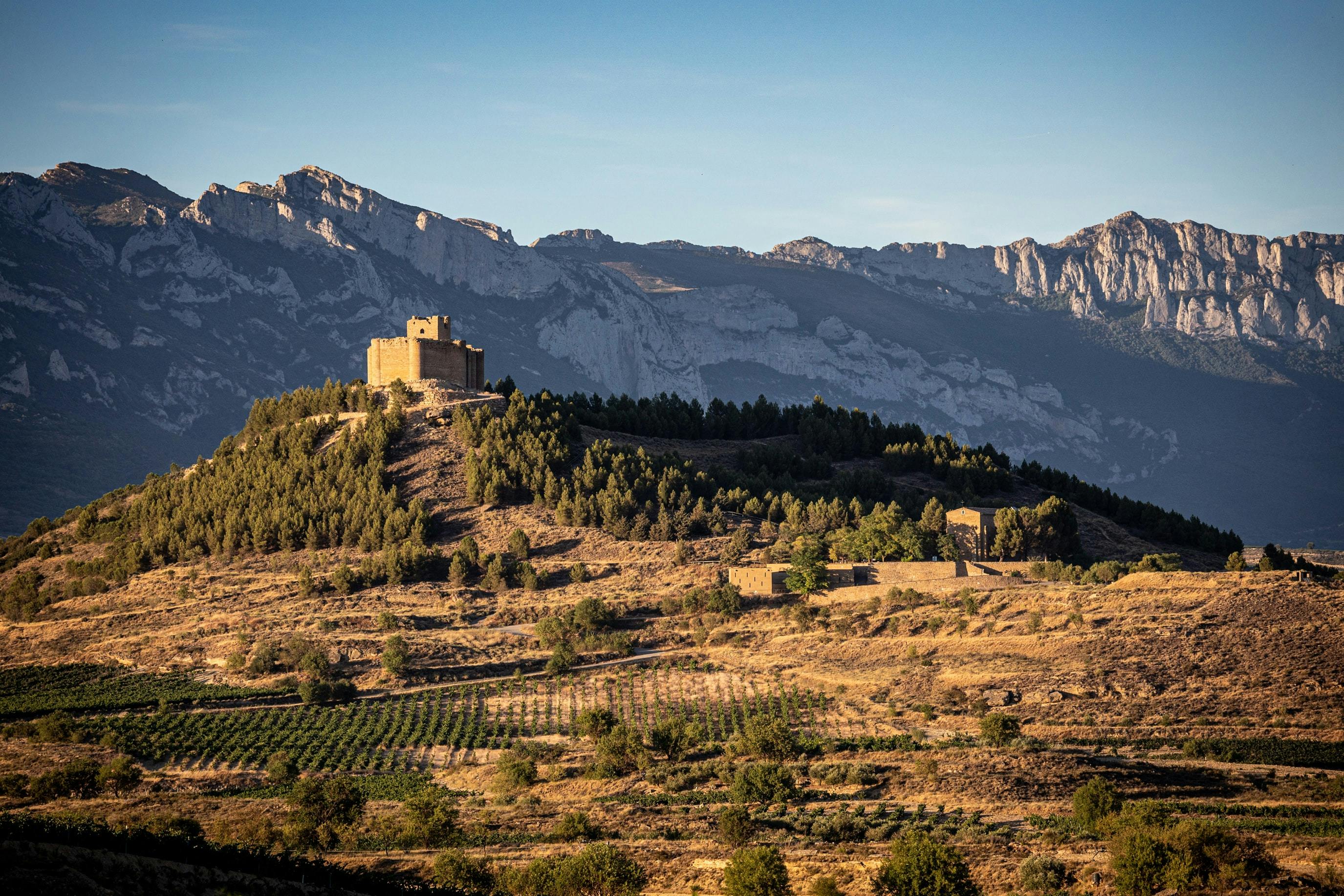 Le climat de la Rioja, chaud et sec l’été, mais frais la nuit grâce au vent et aux montagnes.