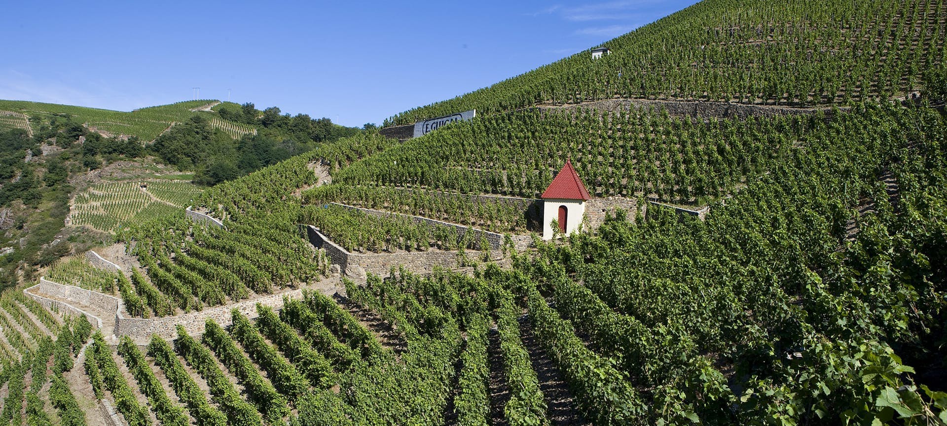 Les vins de la Vallée-du-Rhône nord, France