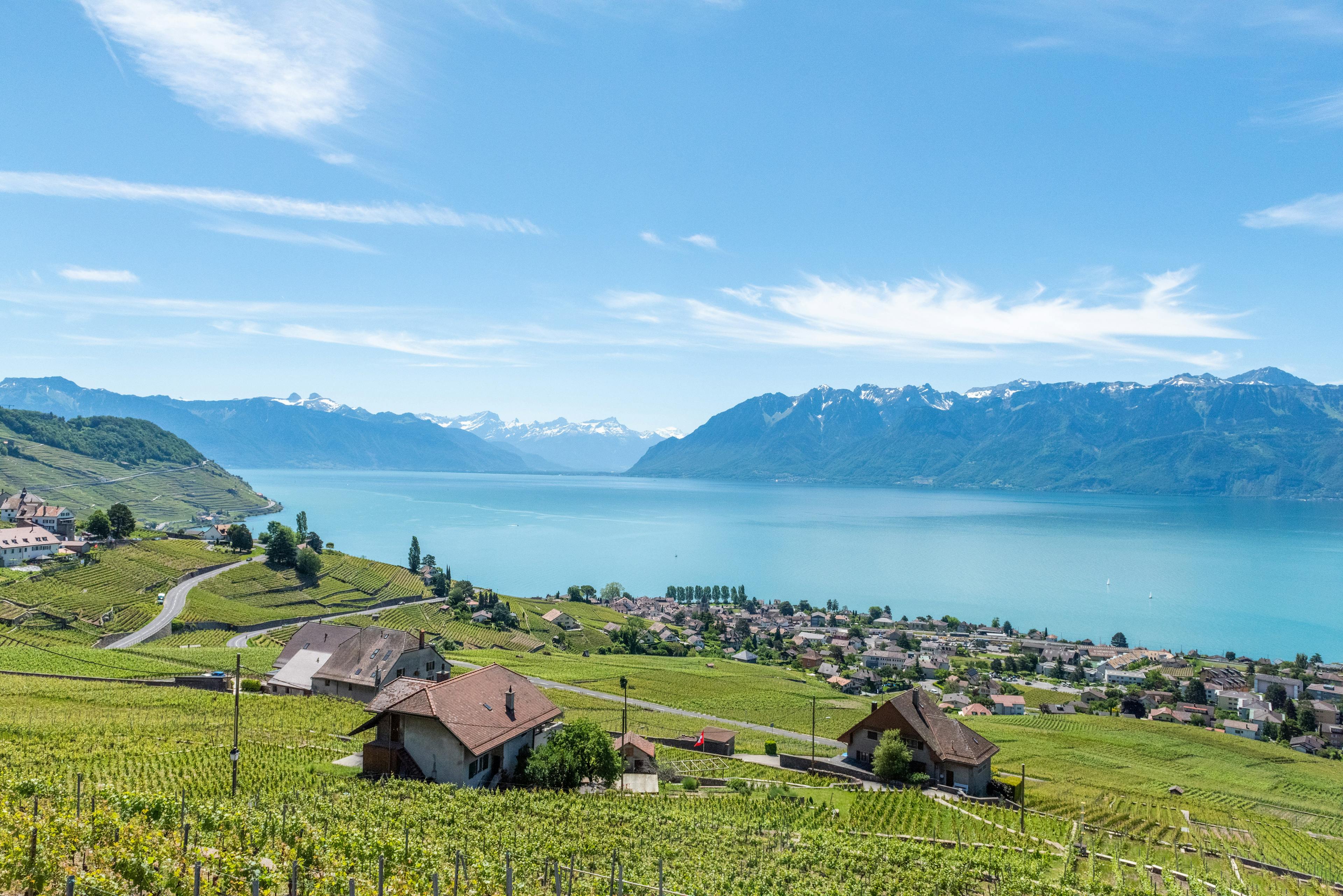 Les vins vaudois, Suisse